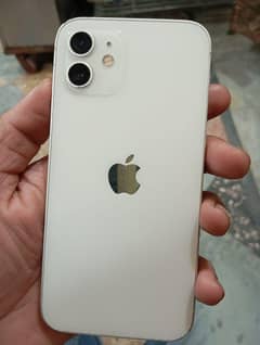 iphone 12 128Gb only panel issue
