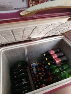 D Freezer