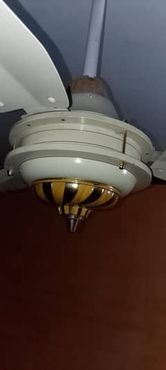 colling fan