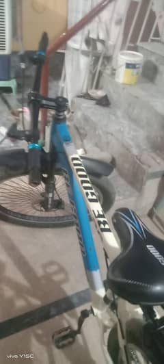 Mountain bike, the best