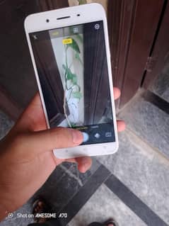vivo y66 ,(new) panel issue