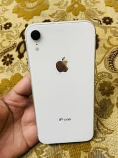 iPhone XR non pta waterpack gurrante