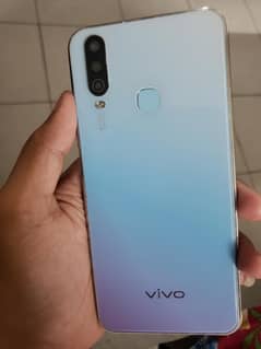 vivo