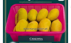 Mango ,CHOWNCA,DOSEHRI,,OTHERS