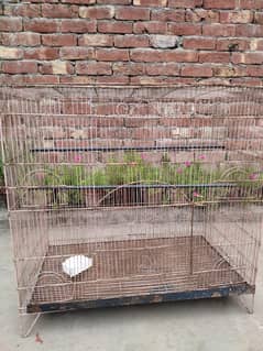 bird cage