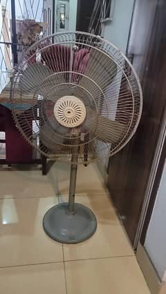 fan