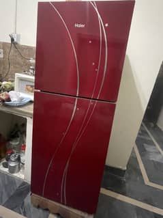 Haier farig midum size