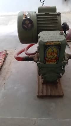 ady