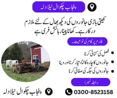 Farmar Jobs - Male Person Required - Jobs