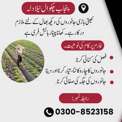 Farmar Jobs - Male Person Required - Jobs