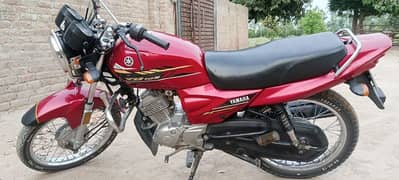 YAMAHA YBZ 125