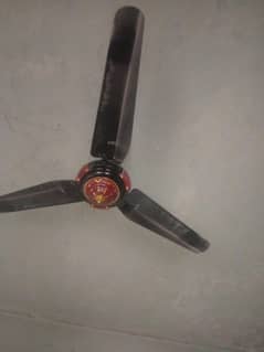 new condition