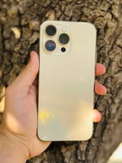 Iphone 14 promax