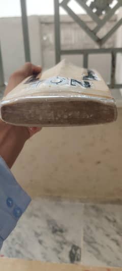ca plus 5000