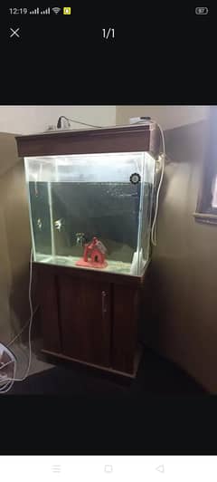 Aquarium for sale urgent