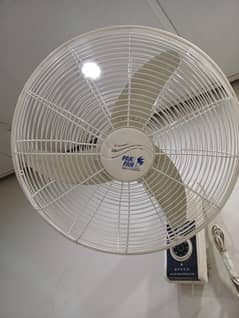 Pak Fan 18"