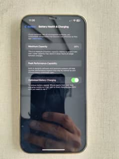 12pro