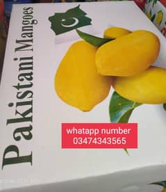 Mango Export quality free home delivery