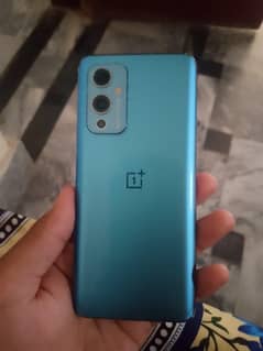 one plus 9 12/256