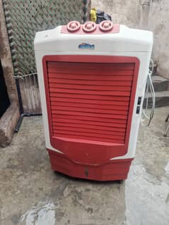 new Asia ka Big cooler ha  king size