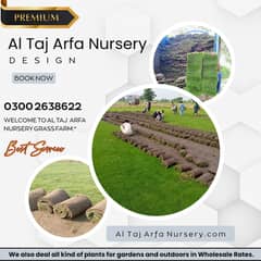Natural Grass|Futsal| Grass|Flooring grass|American grass|