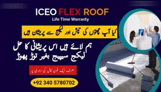 Roof waterproofing, Roof Heat proofing, water Tank Leakage Solution,
