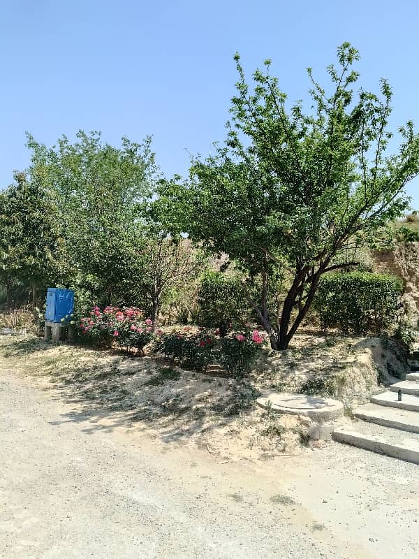 Beautiful Kanal Plot Solid Plot 0
