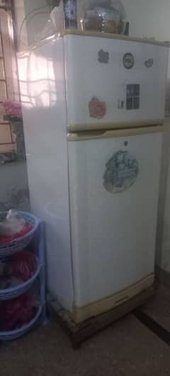 PEL freezer