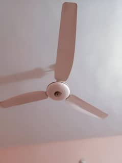 ceiling