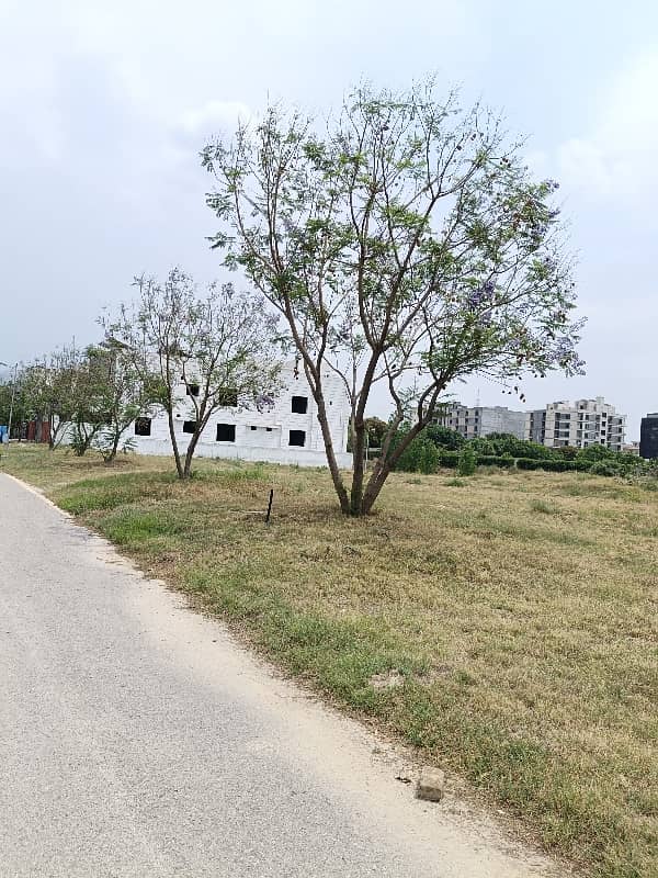 Front Back Open With Extra Land Plot 50*105 Size 6