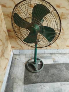 pedisral fan exlanat condition