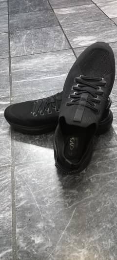 skecher