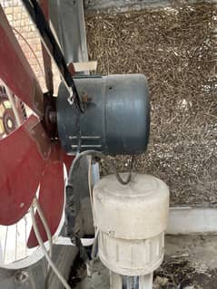 Air cooler