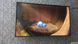 TCL 50 inch LED TV With Remote & Box Excellent Condition