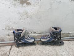 Skates