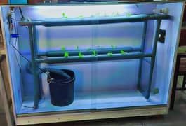 Hydroponic