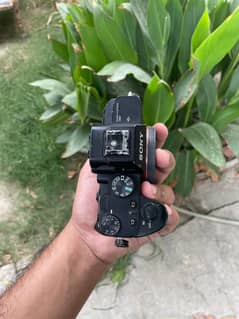 Sony A7iii with Ronin Sc Gimbal