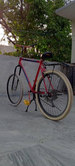 Cycle phoenix original frame full size