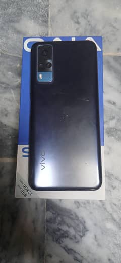 vivo