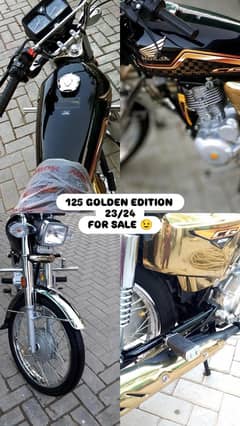 GOLD EDITION 23/24