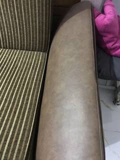 Master molty foam sofa cum bed