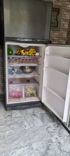 Waves Refrigerator Jumbo