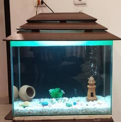 fish aquarium for sell