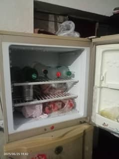 pel company