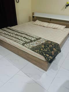 Modern light brown low bed