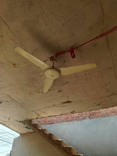 climax fans
