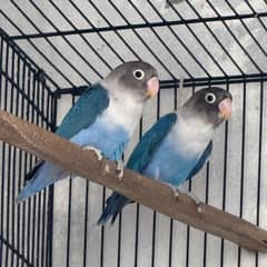 Blue