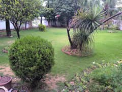 F7 Investor Allert 1166.66 SQY House Available for Sale.