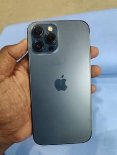 i phone 12 pro max