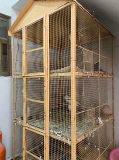 cage